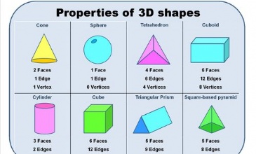 vertices on 3 d shapes